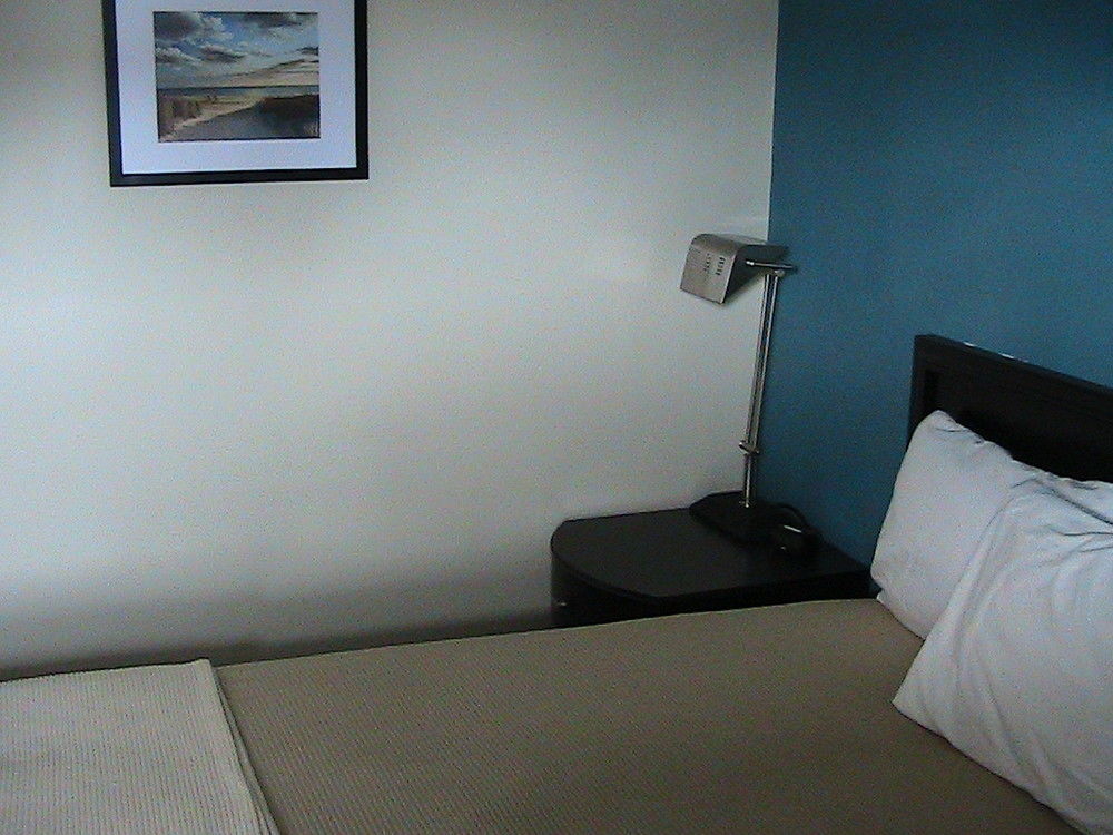 Shore Point Motel 포인트 플레전트 비치 외부 사진